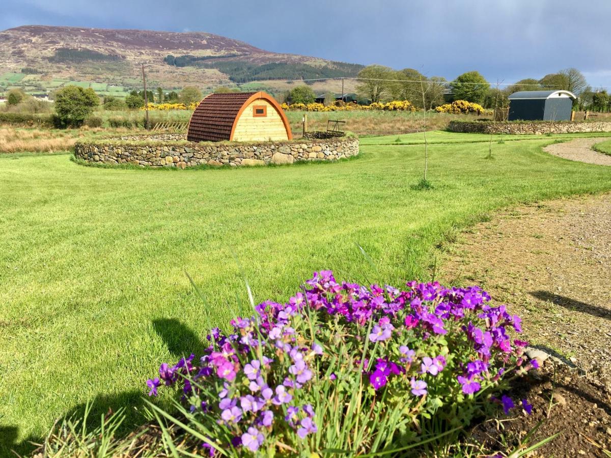 Bluebell Lane Glamping Ξενοδοχείο Νιούρι Εξωτερικό φωτογραφία