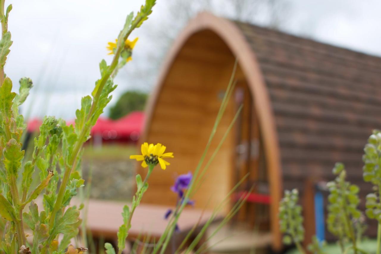 Bluebell Lane Glamping Ξενοδοχείο Νιούρι Εξωτερικό φωτογραφία